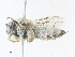  ( - CBG-A38521-E12)  @11 [ ] CreativeCommons - Attribution Share - Alike (2024) CBG Photography Group Centre for Biodiversity Genomics