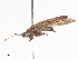  ( - CBG-A44328-B07)  @11 [ ] CreativeCommons - Attribution Share - Alike (2024) CBG Photography Group Centre for Biodiversity Genomics