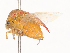  ( - CBG-A44328-D09)  @11 [ ] CreativeCommons - Attribution Share - Alike (2024) CBG Photography Group Centre for Biodiversity Genomics
