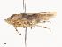  ( - CBG-A44329-B05)  @11 [ ] CreativeCommons - Attribution Share - Alike (2024) CBG Photography Group Centre for Biodiversity Genomics