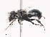  ( - CBG-A44363-D11)  @11 [ ] CreativeCommons - Attribution Share - Alike (2024) CBG Photography Group Centre for Biodiversity Genomics