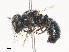  ( - CBG-A44363-E01)  @11 [ ] CreativeCommons - Attribution Share - Alike (2024) CBG Photography Group Centre for Biodiversity Genomics