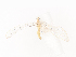  ( - CBG-A44368-B05)  @11 [ ] CreativeCommons - Attribution Share - Alike (2024) CBG Photography Group Centre for Biodiversity Genomics