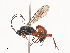  ( - CBG-A44368-G01)  @11 [ ] CreativeCommons - Attribution Share - Alike (2024) CBG Photography Group Centre for Biodiversity Genomics