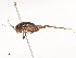  ( - CBG-A44416-B09)  @11 [ ] CreativeCommons - Attribution Share-Alike (2024) CBG Photography Group Centre for Biodiversity Genomics