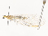  ( - CBG-A44438-A05)  @11 [ ] CreativeCommons - Attribution Share - Alike (2024) CBG Photography Group Centre for Biodiversity Genomics