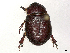  ( - CBG-A44438-E06)  @11 [ ] CreativeCommons - Attribution (2024) CBG Photography Group Centre for Biodiversity Genomics