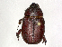  ( - CBG-A44438-E07)  @11 [ ] CreativeCommons - Attribution (2024) CBG Photography Group Centre for Biodiversity Genomics