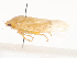  ( - CBG-A44438-G10)  @11 [ ] CreativeCommons - Attribution Share - Alike (2024) CBG Photography Group Centre for Biodiversity Genomics