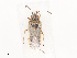  ( - CBG-A44440-B06)  @11 [ ] CreativeCommons - Attribution Share - Alike (2024) CBG Photography Group Centre for Biodiversity Genomics