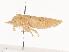  ( - CBG-A44440-F06)  @11 [ ] CreativeCommons - Attribution Share - Alike (2024) CBG Photography Group Centre for Biodiversity Genomics