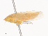  ( - CBG-A45169-D07)  @11 [ ] CreativeCommons - Attribution Share - Alike (2024) CBG Photography Group Centre for Biodiversity Genomics