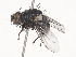  ( - CBG-A45172-C04)  @11 [ ] CreativeCommons - Attribution Share - Alike (2024) CBG Photography Group Centre for Biodiversity Genomics