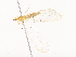  ( - CBG-A45172-G04)  @11 [ ] CreativeCommons - Attribution Share - Alike (2024) CBG Photography Group Centre for Biodiversity Genomics