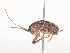  ( - CBG-A45174-B12)  @11 [ ] CreativeCommons - Attribution Share - Alike (2024) CBG Photography Group Centre for Biodiversity Genomics