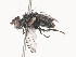  ( - CBG-A45209-C02)  @11 [ ] CreativeCommons - Attribution Share - Alike (2024) CBG Photography Group Centre for Biodiversity Genomics