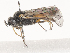  ( - CBG-A46909-C10)  @11 [ ] CreativeCommons - Attribution Share - Alike (2024) CBG Photography Group Centre for Biodiversity Genomics