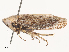  ( - CBG-A48506-C08)  @11 [ ] CreativeCommons - Attribution Share - Alike (2024) CBG Photography Group Centre for Biodiversity Genomics