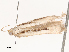  ( - CBG-A48506-G06)  @11 [ ] CreativeCommons - Attribution Share - Alike (2024) CBG Photography Group Centre for Biodiversity Genomics