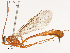  ( - CBG-A51922-A09)  @11 [ ] CreativeCommons - Attribution Share - Alike (2024) CBG Photography Group Centre for Biodiversity Genomics