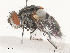  ( - CBG-A51922-C09)  @11 [ ] CreativeCommons - Attribution Share - Alike (2024) CBG Photography Group Centre for Biodiversity Genomics