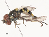  ( - CBG-A51922-F01)  @11 [ ] CreativeCommons - Attribution Share - Alike (2024) CBG Photography Group Centre for Biodiversity Genomics