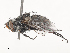  ( - CBG-A51923-C02)  @11 [ ] CreativeCommons - Attribution Share - Alike (2024) CBG Photography Group Centre for Biodiversity Genomics