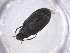  ( - CBG-A47500-H11)  @11 [ ] CreativeCommons - Attribution Share - Alike (2024) Centre for Biodiversity Genomics Centre for Biodiversity Genomics