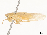  ( - CBG-A51917-C07)  @11 [ ] CreativeCommons - Attribution Share - Alike (2024) CBG Photography Group Centre for Biodiversity Genomics