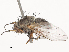  ( - CBG-A51917-D12)  @11 [ ] CreativeCommons - Attribution Share - Alike (2024) CBG Photography Group Centre for Biodiversity Genomics