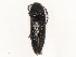  ( - CBG-A51927-H01)  @11 [ ] CreativeCommons - Attribution Share - Alike (2024) CBG Photography Group Centre for Biodiversity Genomics