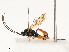  ( - CBG-A51994-D12)  @11 [ ] CreativeCommons - Attribution Share - Alike (2024) CBG Photography Group Centre for Biodiversity Genomics