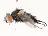  ( - CBG-A51999-C09)  @11 [ ] CreativeCommons - Attribution Share - Alike (2024) CBG Photography Group Centre for Biodiversity Genomics
