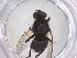  ( - CBG-A52692-H08)  @11 [ ] CreativeCommons - Attribution Share - Alike (2024) Centre for Biodiversity Genomics Centre for Biodiversity Genomics