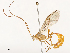  ( - CBG-A53618-A07)  @11 [ ] CreativeCommons - Attribution Share - Alike (2024) CBG Photography Group Centre for Biodiversity Genomics