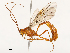  ( - CBG-A53618-A08)  @11 [ ] CreativeCommons - Attribution Share - Alike (2024) CBG Photography Group Centre for Biodiversity Genomics