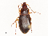  ( - CBG-A53618-B11)  @11 [ ] CreativeCommons - Attribution Share - Alike (2024) CBG Photography Group Centre for Biodiversity Genomics