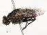  ( - CBG-A53618-C05)  @11 [ ] CreativeCommons - Attribution Share - Alike (2024) CBG Photography Group Centre for Biodiversity Genomics