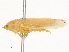  ( - CBG-A53618-F01)  @11 [ ] CreativeCommons - Attribution Share - Alike (2024) CBG Photography Group Centre for Biodiversity Genomics
