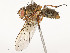  ( - CBG-A53621-D07)  @11 [ ] CreativeCommons - Attribution Share - Alike (2024) CBG Photography Group Centre for Biodiversity Genomics