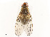  ( - CBG-A53621-F10)  @11 [ ] CreativeCommons - Attribution Share - Alike (2024) CBG Photography Group Centre for Biodiversity Genomics
