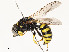  ( - CBG-A53622-B12)  @11 [ ] CreativeCommons - Attribution Share - Alike (2024) CBG Photography Group Centre for Biodiversity Genomics