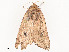  ( - CBG-A53625-E02)  @11 [ ] CreativeCommons - Attribution Share - Alike (2024) CBG Photography Group Centre for Biodiversity Genomics