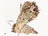  ( - CBG-A53625-E03)  @11 [ ] CreativeCommons - Attribution Share - Alike (2024) CBG Photography Group Centre for Biodiversity Genomics