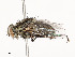  ( - CBG-A53627-B04)  @11 [ ] CreativeCommons - Attribution Share - Alike (2024) CBG Photography Group Centre for Biodiversity Genomics