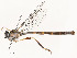  ( - CBG-A53628-A02)  @11 [ ] CreativeCommons - Attribution Share - Alike (2024) CBG Photography Group Centre for Biodiversity Genomics