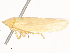  ( - CBG-A53661-C01)  @11 [ ] CreativeCommons - Attribution Share - Alike (2024) CBG Photography Group Centre for Biodiversity Genomics