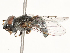  ( - CBG-A53661-E08)  @11 [ ] CreativeCommons - Attribution Share - Alike (2024) CBG Photography Group Centre for Biodiversity Genomics