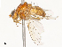  ( - CBG-A53661-H05)  @11 [ ] CreativeCommons - Attribution Share - Alike (2024) CBG Photography Group Centre for Biodiversity Genomics