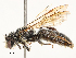  ( - CBG-A53662-E10)  @11 [ ] CreativeCommons - Attribution Share - Alike (2024) CBG Photography Group Centre for Biodiversity Genomics